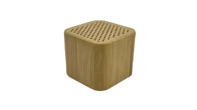 Speaker — KT-F4AC46B1